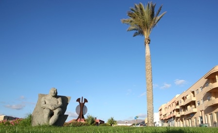 El Ayuntamiento encarga un estudio único en Canarias sobre el Plan de Mejora de las palmeras del municipio